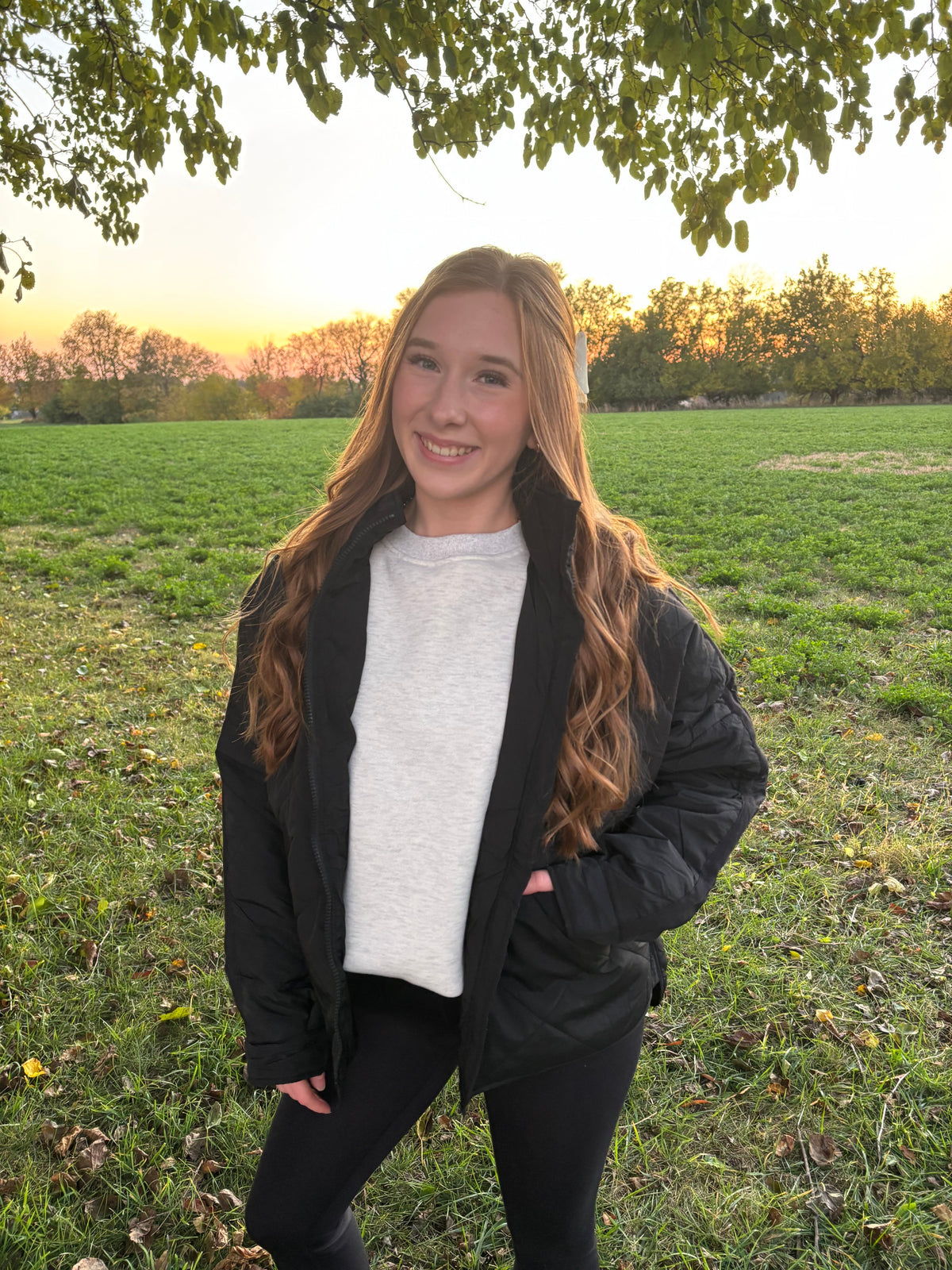 Northline Quilted Puffer Jacket - Black