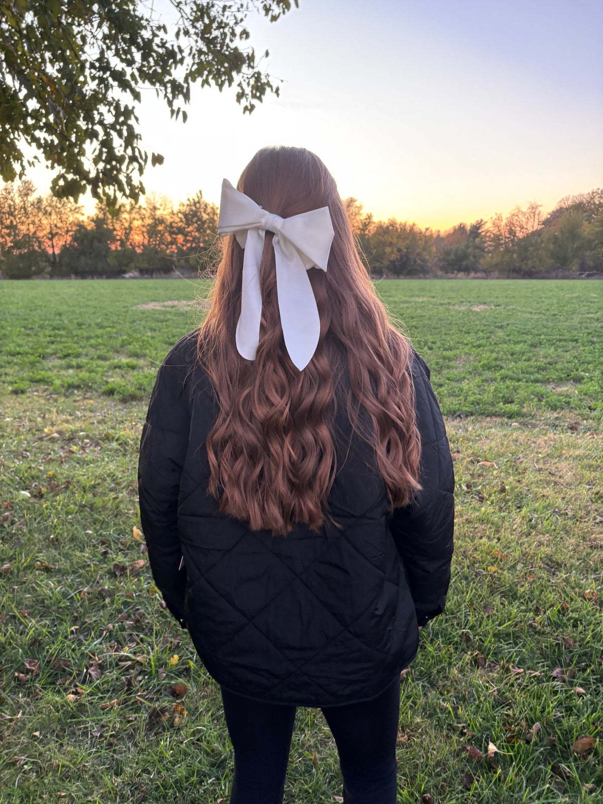 Northline Quilted Puffer Jacket - Black