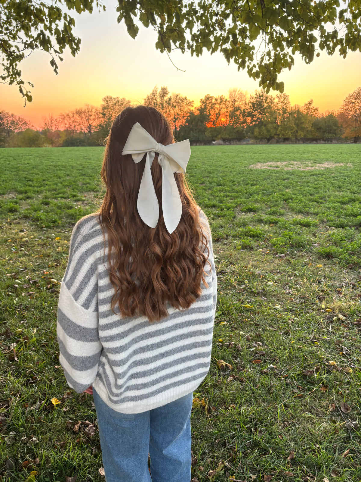 Frostline Knit Sweater